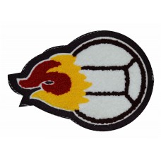 Volleyball Flame